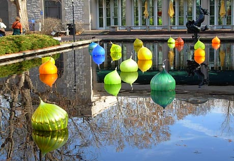 some chihulys (chihulies?) in the water